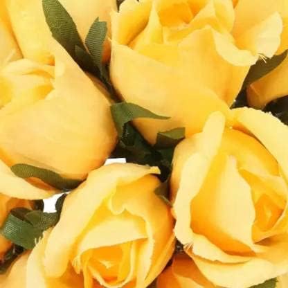 Bigreen Yellow Rose – Live Flowering Plant with Pot for Home & Garden Natural Plant Yellow Colour Rose Flower Tree Plant Hybrid Grafted