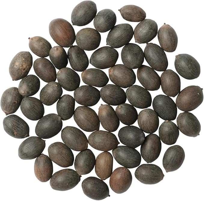 Amazon Brand - All Season Lotus Flower Hybrid Japanese Lotus Flower Seeds | 50 Seeds/Pack | 95% Germination Rate | Dwarf Rainbow | Kamal Gatta Beej | Mix of 12 Colors | Exotic Variety |