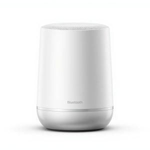 ThunderSound X Portable Speaker